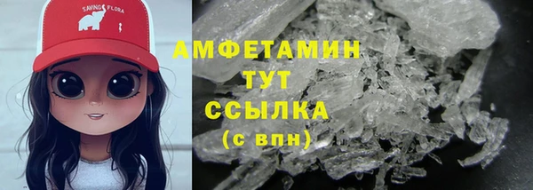 гашик Мегион