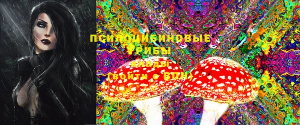 гашик Мегион