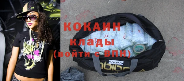 гашик Мегион