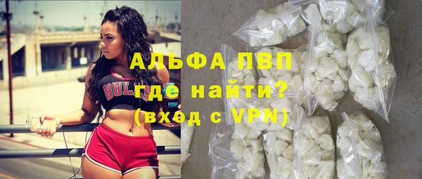 гашик Мегион
