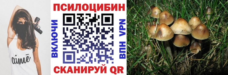 Псилоцибиновые грибы Psilocybine cubensis Купить Амурск